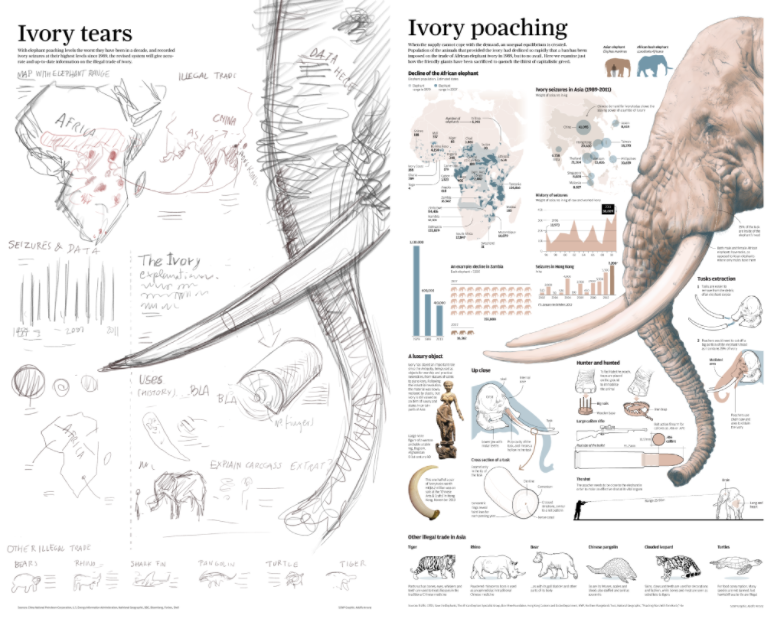Ivory tears. The importance of sketching.